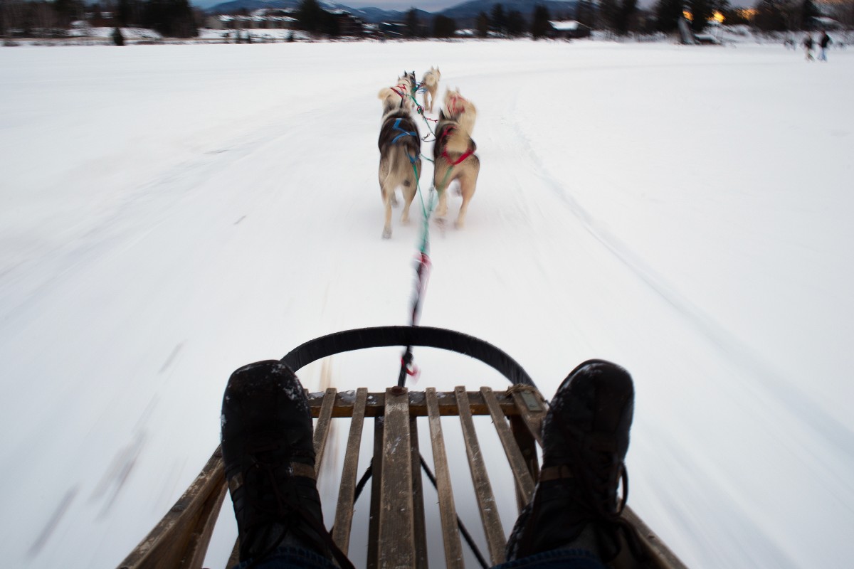 Huskys pull a sled in Lake Placid, NY on Jan. 17, 2015.

Images from the New York State perimeter road trip by Jeffrey Basinger. Jan. 12-18, 2015.

Copyright 2015 Jeffrey Basinger