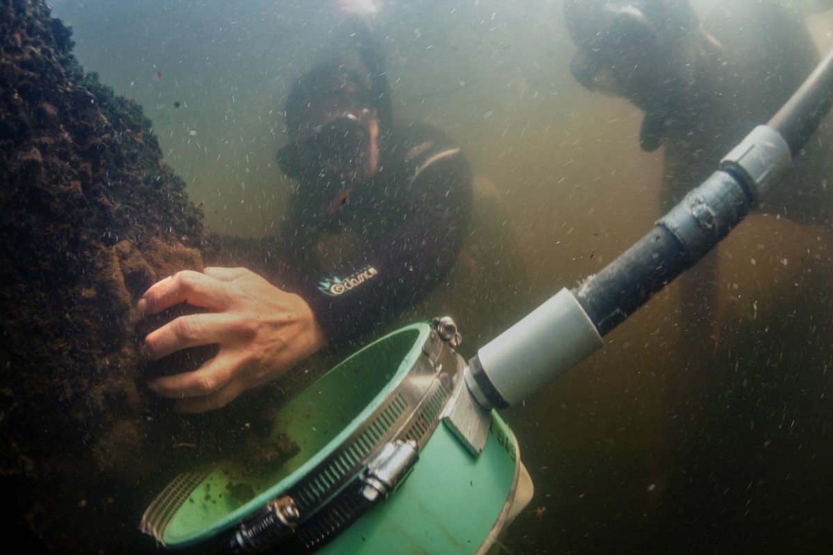 Parasitic worms in Klamath Falls